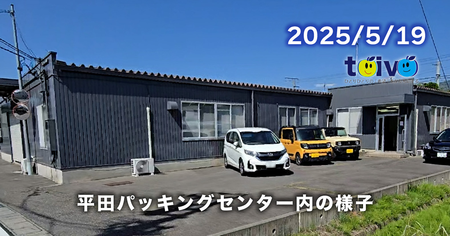 平田パッキングセンター内の様子