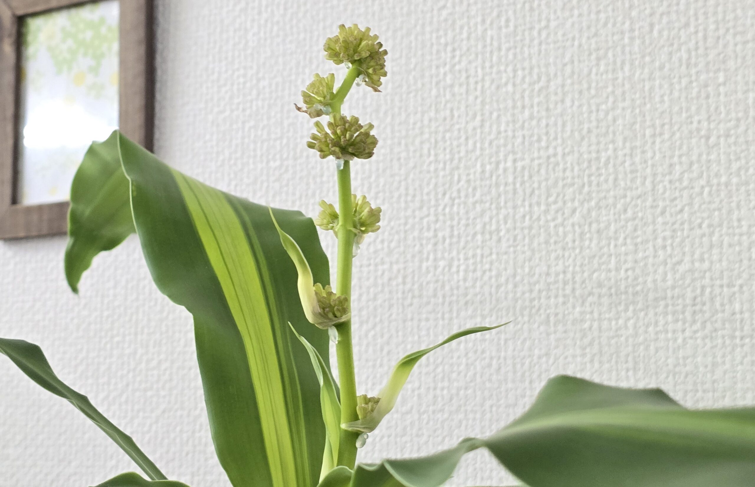 2026年 新年のご挨拶